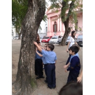 Paseo didáctico por la Plaza 25 de mayo - 1er. Grado Turno Mañana